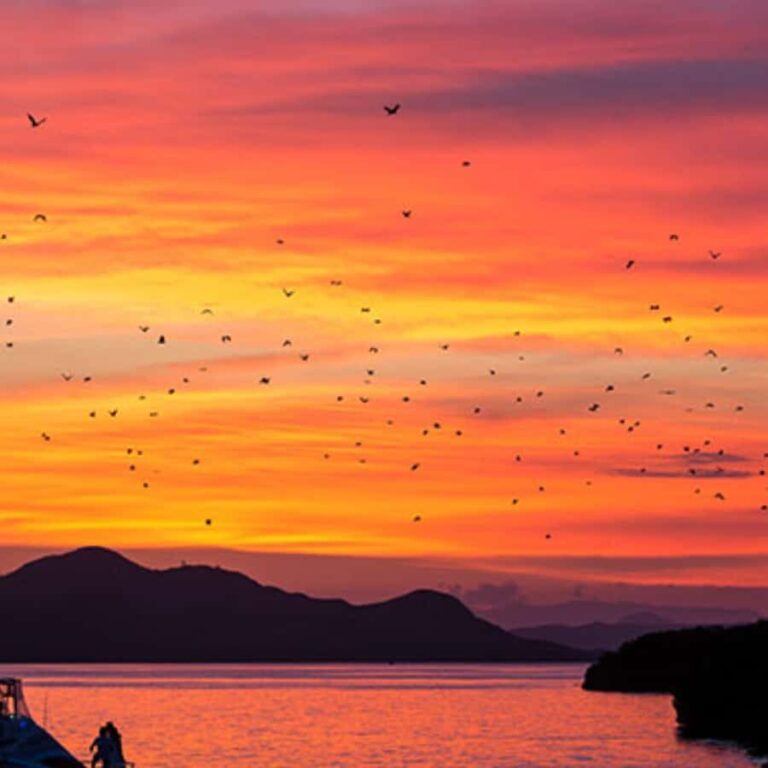 Labuan Bajo Sunset Trip  Explore 3 Destinations - What Makes This Tour Valuable?