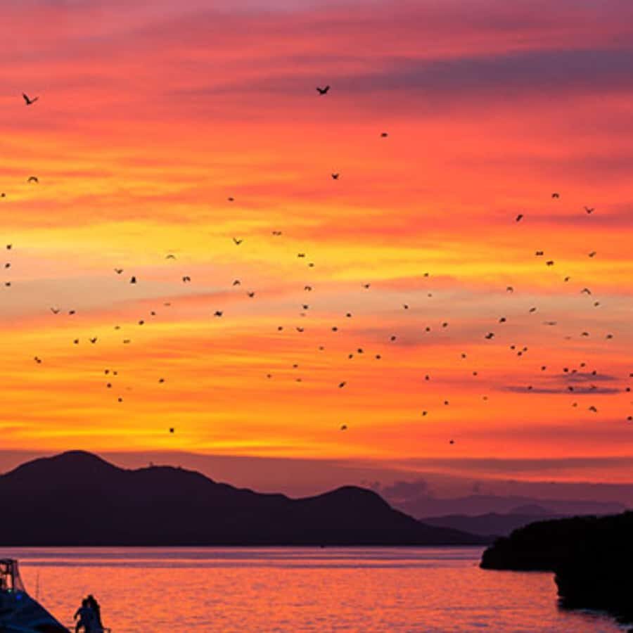 Labuan Bajo Sunset Trip  Explore 3 Destinations - What Makes This Tour Valuable?