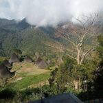 Labuan Bajo: Wae Rebo Village Day Trip with Trekking - The Itinerary in Detail: What You’ll Experience