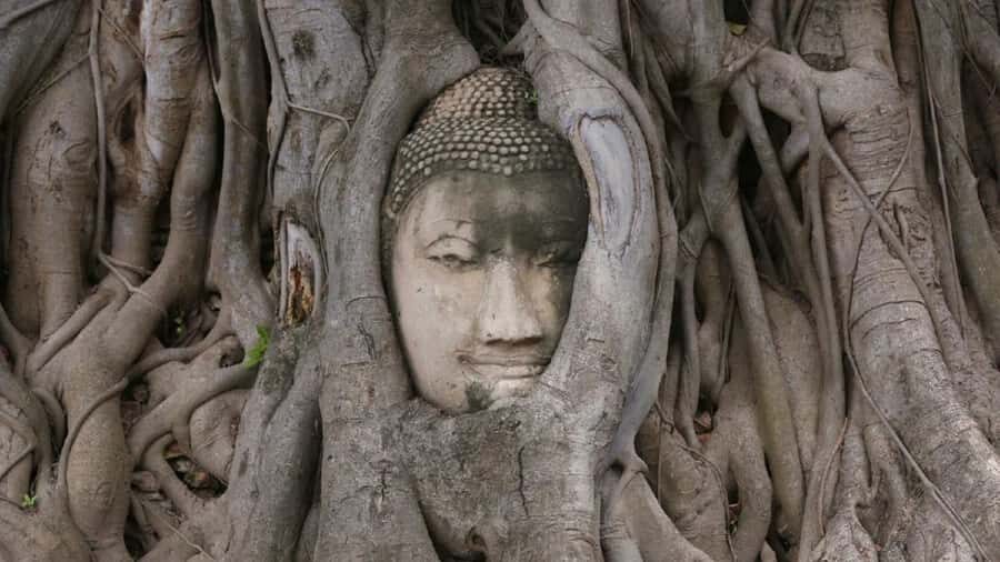 Laem Chabang Port: Bangkok and Ayutthaya 2-Day Guide Tour - Deep Dive into the Experience: Is It Worth It?