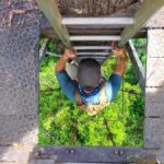 Lahad Datu: Danum Valley 3-Day Jungle Adventure with Guide - An In-Depth Look at the 3-Day Danum Valley Tour