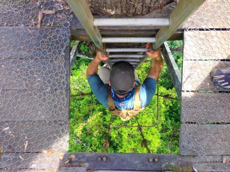 Lahad Datu: Danum Valley 3-Day Jungle Adventure with Guide - An In-Depth Look at the 3-Day Danum Valley Tour