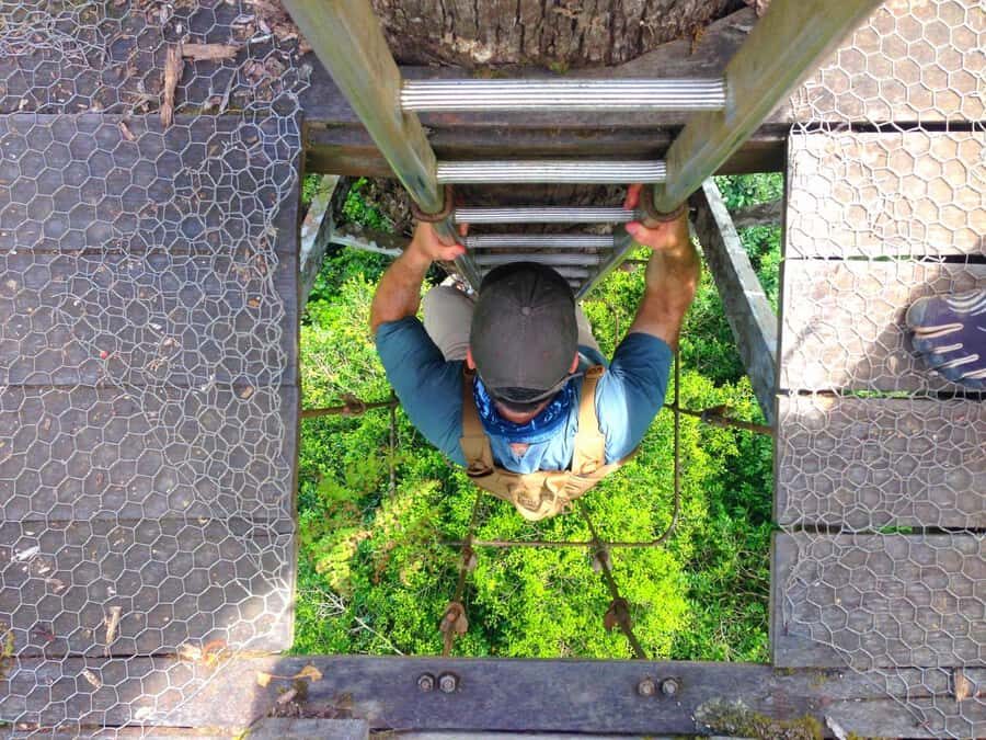 Lahad Datu: Danum Valley 3-Day Jungle Adventure with Guide - An In-Depth Look at the 3-Day Danum Valley Tour