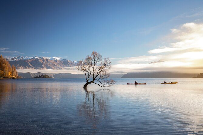 Lake Wanaka Roy's Bay Kayak Tour - Why This Tour is a Great Choice