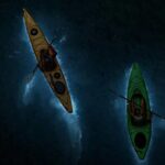 Lan Ha Bay Sunset and Bioluminescent Kayaking Tour - Detailed Review of the Tour Experience