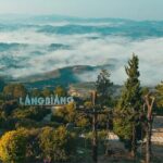 Langbiang Nature Park Experience with Tickets - Key Points