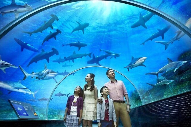 Langkawi Best Animal Attractions plus City Tour - Practical Details and Tips