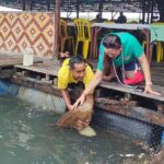 Langkawi Couples Day Tour - Mangroves, Cable Car & Watersports - An In-Depth Look at the Langkawi Couples Day Tour