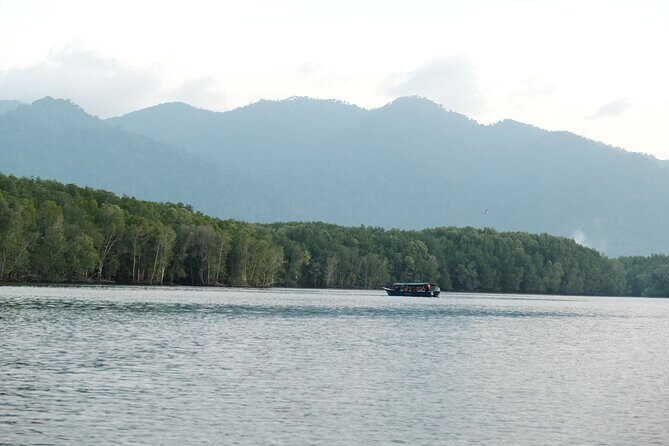 Langkawi Mangrove and Bat Cave Tour - Final Thoughts