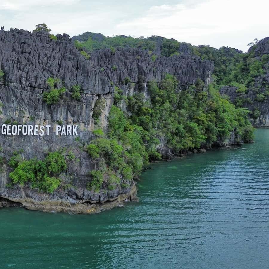 Langkawi: Mangrove Forest Boat Tour with Eagle Watching - An In-Depth Look at the Tour Experience