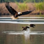 Langkawi: Mangrove Sharing Boat include Lunch & Beach - Authentic Insights from Travelers