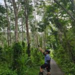 Langkawi: Small Group Countryside Cycling Tour Paddy Fields - Who Should Consider This Tour?