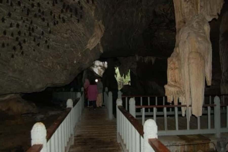 Langkawi UNESCO Snorkeling Tour & Night Safari - Why Choose This Tour?