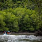 Langkawi:6 Hours Mangrove Night Safari with Pick Up & Dinner - Who Should Consider This Tour?