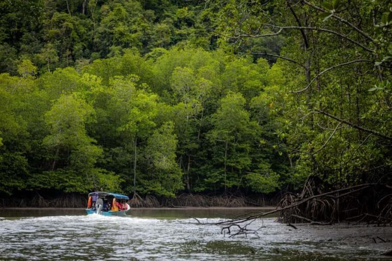 Langkawi:6 Hours Mangrove Night Safari with Pick Up & Dinner - Who Should Consider This Tour?