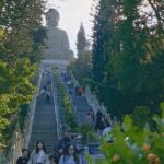 Lantau Island Highlights and Attractions - Additional Details & Practical Tips