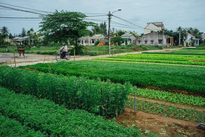 Lantern making class and Tra Que Bike Tour - What Travelers Will Love