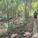 Largest zipline/Cave & Biausevu waterfall Discovery tour - Cultural Experience and Additional Options