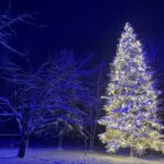 [Late Departure] Biei Best 5 Must-Visit Day Tour from Sapporo - A Deep Dive into the Itinerary