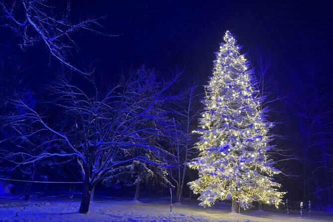 [Late Departure] Biei Best 5 Must-Visit Day Tour from Sapporo - A Deep Dive into the Itinerary