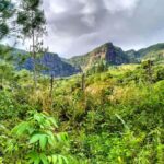 Lautoka: Abaca Waterfall Hike and Swim Day Trip - Practical Details and Tips