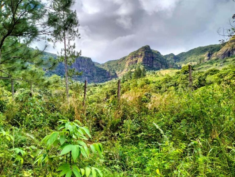 Lautoka: Abaca Waterfall Hike and Swim Day Trip - Practical Details and Tips