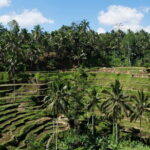 Lazy Cave Tubing with Kintamani Volcano Tour - Why This Tour Offers Great Value