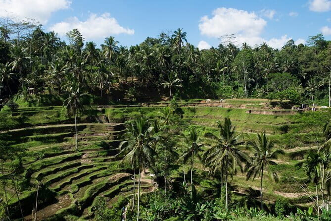 Lazy Cave Tubing with Kintamani Volcano Tour - Why This Tour Offers Great Value
