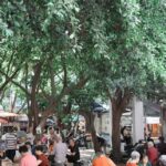 Lazy Citywalk for Tea Lovers | Sip, Stroll & Feel Chengdu - Detailed Itinerary Breakdown