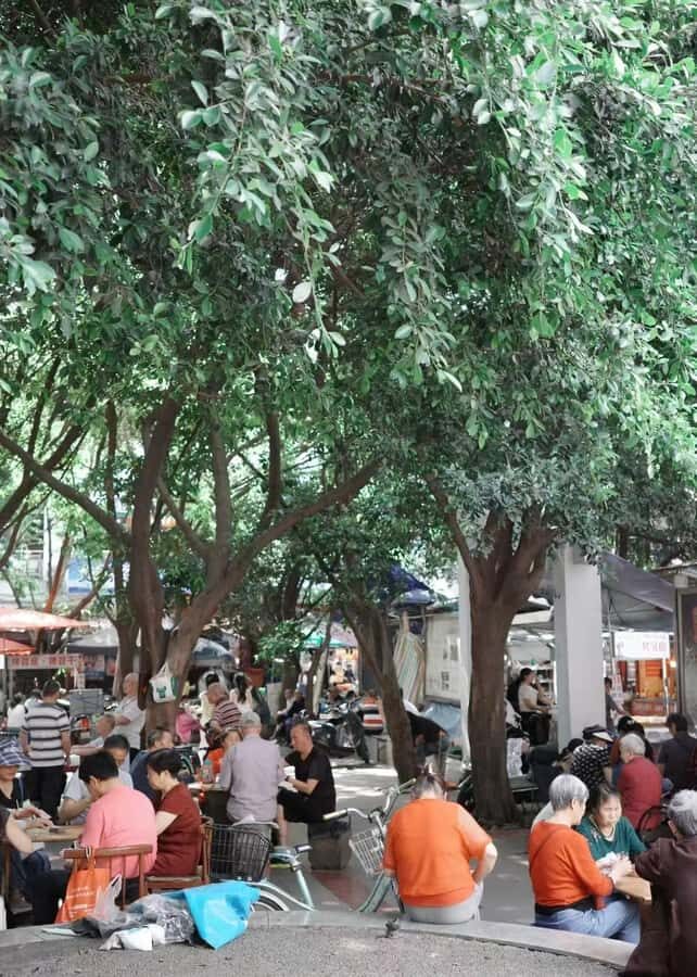 Lazy Citywalk for Tea Lovers | Sip, Stroll & Feel Chengdu - Detailed Itinerary Breakdown