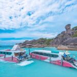 Lazy Similan Snorkeling by Speed Catamaran from Phuket - What’s Included and What You Should Budget For