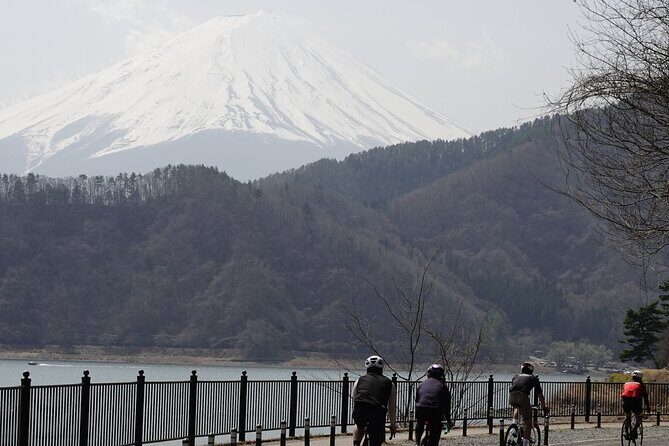 Leisure Cycling Tour Around Mt. Fuji's Five Lakes - The Support and Logistics That Make a Difference