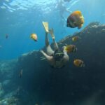 Lembongan: Manta Bay, Turtle Bay, & Gamat Bay Snorkeling - What to Expect & Practical Details