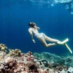 Lembongan Snorkeling Day Trip - The Snorkeling Experience in Detail