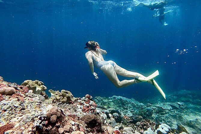 Lembongan Snorkeling Day Trip - The Snorkeling Experience in Detail