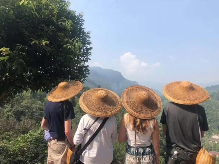 Leshan: Giant Buddha, Tea Village, and Old town Day Trip - What Makes This Tour Stand Out