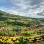 Leyte: Ormoc: City Highlights Guided Tour - The Value of This Tour