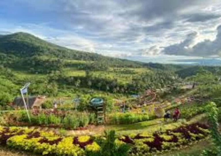 Leyte: Ormoc: City Highlights Guided Tour - The Value of This Tour