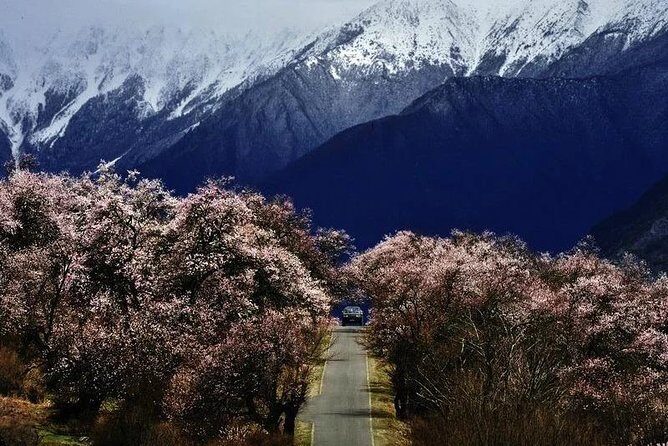 Lhasa Private Departure Transfer: Hotel to Airport - How the booking and support system works