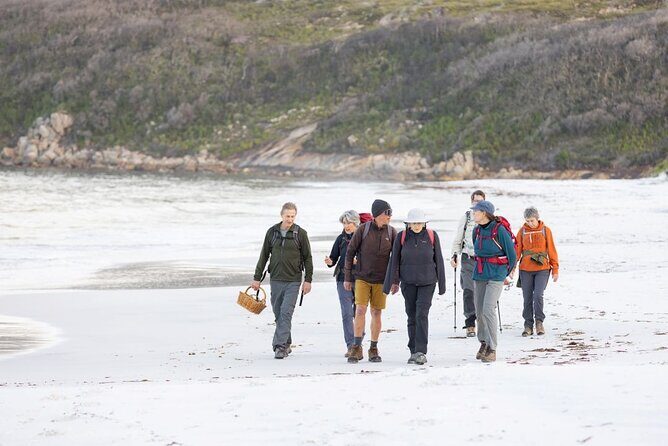 Lighting the Sound Uredale Twilight Hike - Authentic Experiences from Reviews