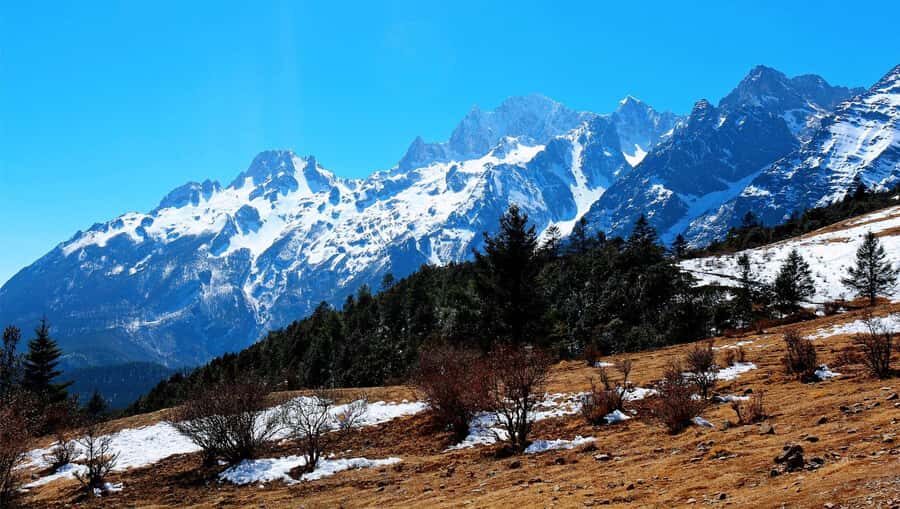 Lijiang: Yulong Snow Mountain & Impression Lijiang Show - Exploring the Scenic Spots: Maoniuping & Spruce Meadow