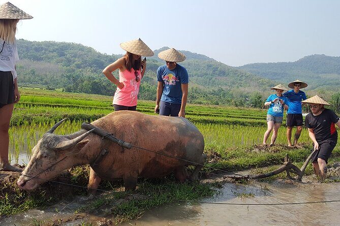 Living Land Experience and Kuang Si water with Lunch - Why This Tour Offers Great Value