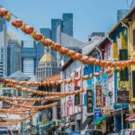 Local Guided Little India and Chinatown Food Tour by CYT - What We Love About This Tour