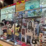 Local Walk Everyday Japan in a Retro Area 20 min from Tokyo - A Closer Look at the Itinerary