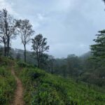 LOCATION: Hanthana to Galaha Pekoe Trail Stage 01 Trek - Practical Details & Tips