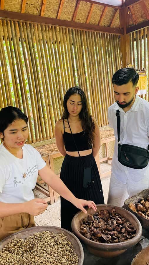 LOCATION: Sebatu Temple Purification & Herbal Garden - Who Will Love This Tour?