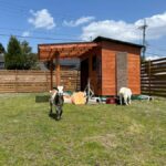 LOCATION:Kyoto City Japanese Caregiving Culture Tour - Practical Details and Considerations