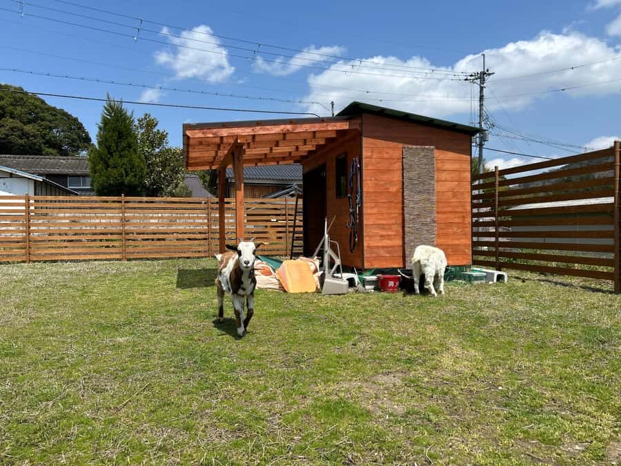 LOCATION:Kyoto City Japanese Caregiving Culture Tour - Practical Details and Considerations