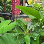 Lombok Cooking Class by Mas Oppa - Final Thoughts