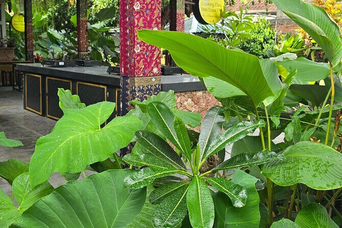 Lombok Cooking Class by Mas Oppa - Final Thoughts